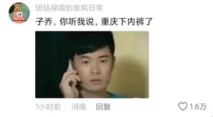 子乔,你听我说/子乔快看