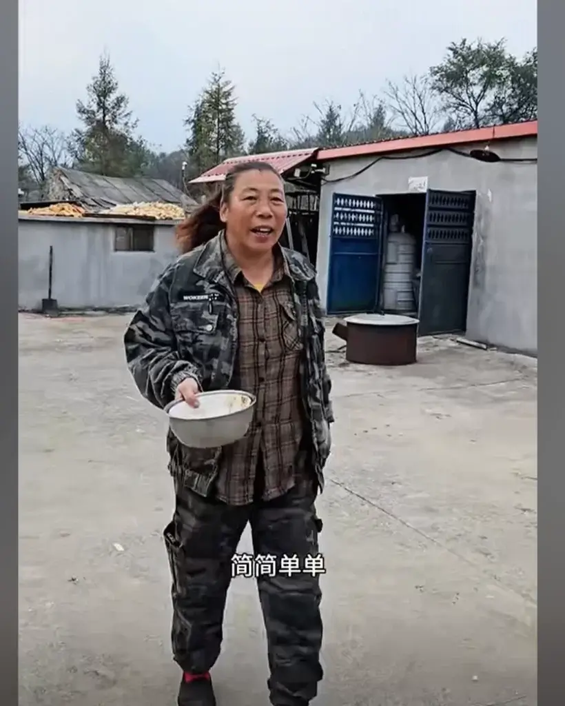 东北雨宙